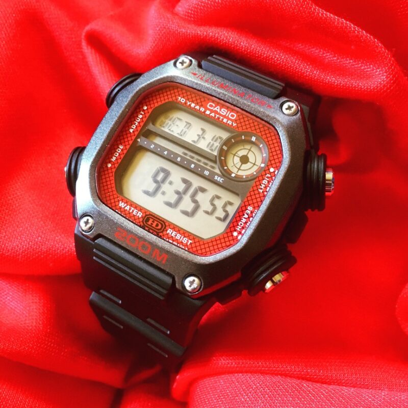 CASIO DW-291H – When Even a Basic G-Shock is too Expensive
