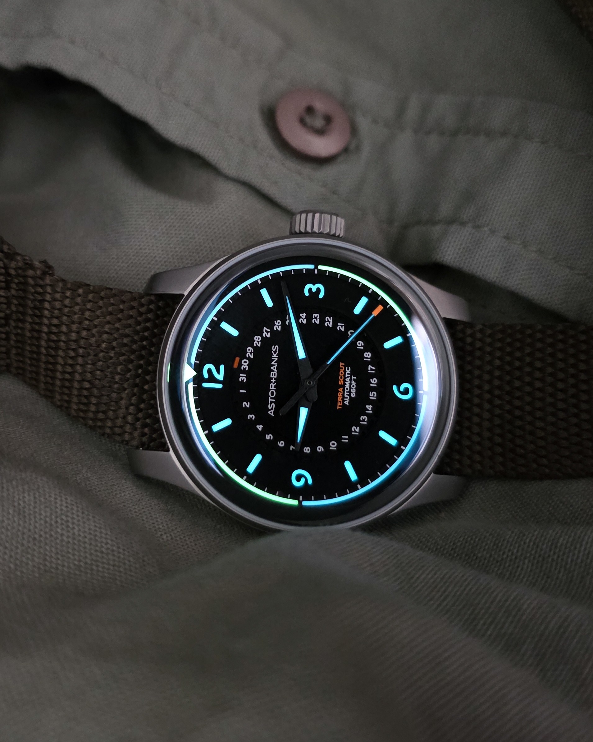 Terra Scout